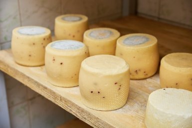 сыр, еда, продукты питания Дмитрий Осипчук, ИА PrimaMedia