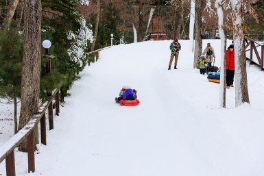 Обычная зимняя забава может привести к лишению родительских прав Евгений  Кулешов, ИА PrimaMedia.ru