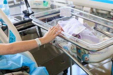 В России хотят ввести &quotсемейный&quot декрет для родственников Евгений  Кулешов, ИА PrimaMedia