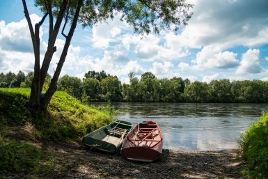 Россиян оштрафовали и запретили въезжать в Чили из-за горелки в лесу Евдокия Сорокина, ИА AmurMedia