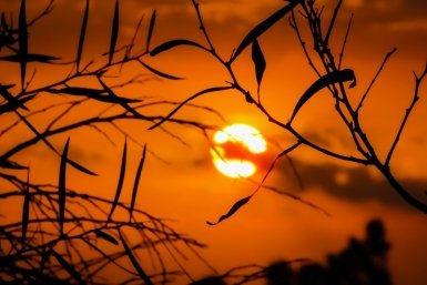 Солнце pxhere.com