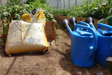 С 1 марта вступают в силу новые правила для владельцев дачных участков ИА EAOMedia