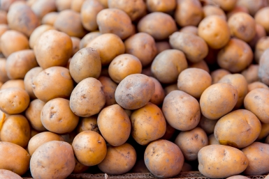 В России могут ввести минимальную цену на картофель Илья Аверьянов, ИА PrimaMedia