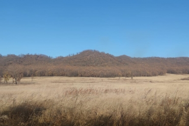 У владельцев участков осталось меньше двух лет на освоение земли Марина  Померанцева , ИА EAOMedia