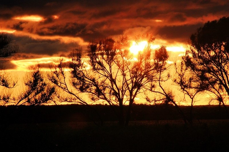 Астрофизики предупреждают о магнитной буре в эту пятницу Антон Балашов