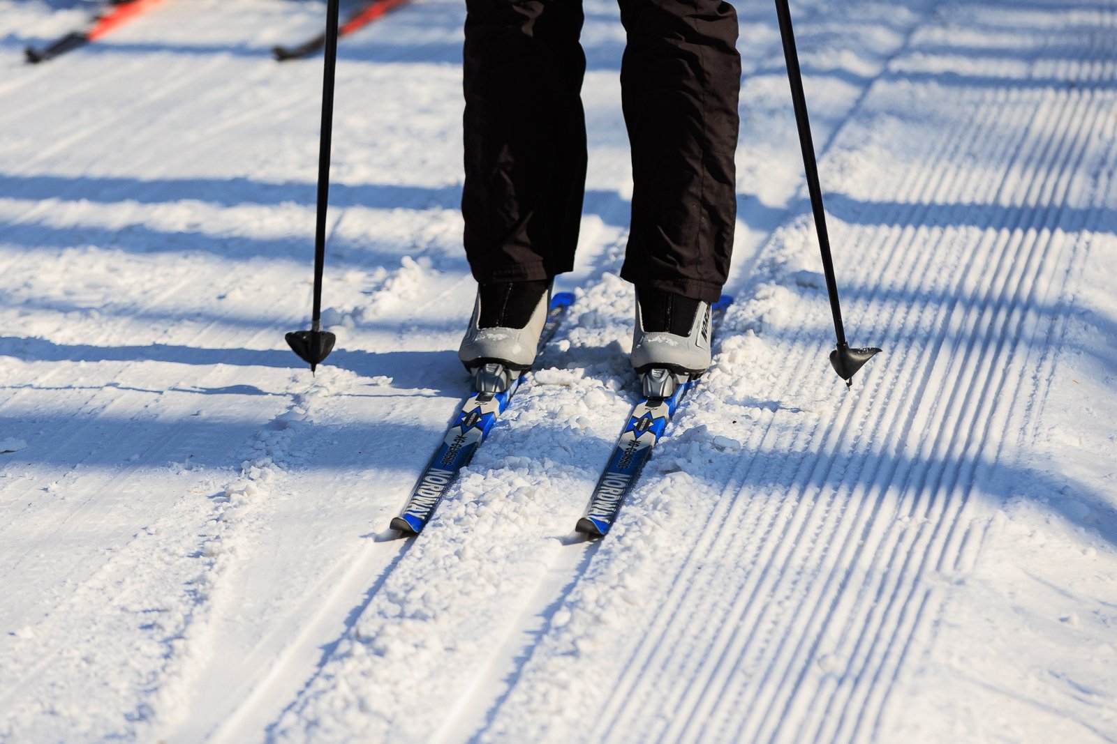 лыжи, Русская лыжня Евгений  Кулешов, ИА PrimaMedia.ru