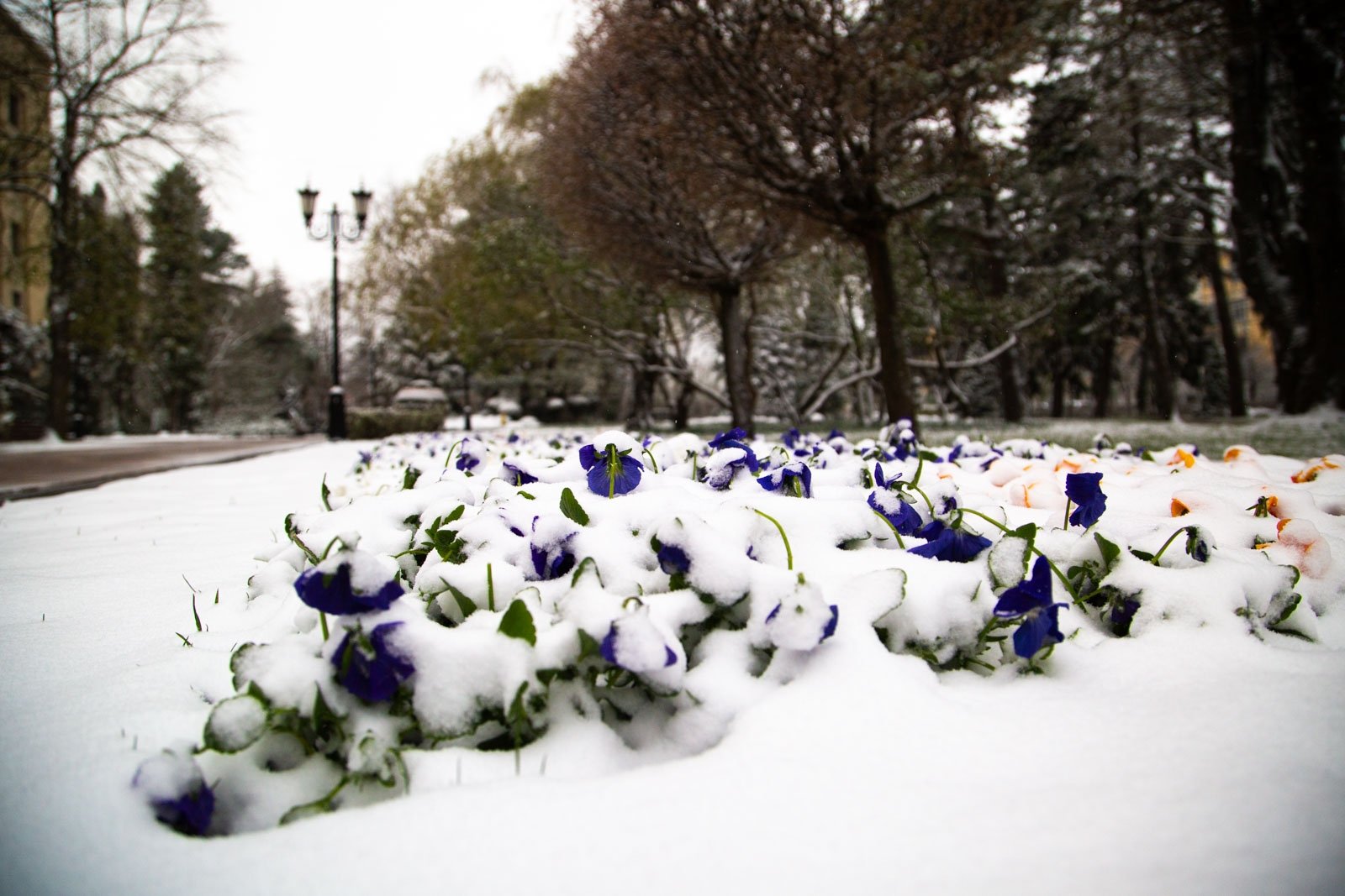 В Центральной России ожидаются рекордно сильные морозы Артём Хорошилов  , ИА Stavropol.Media