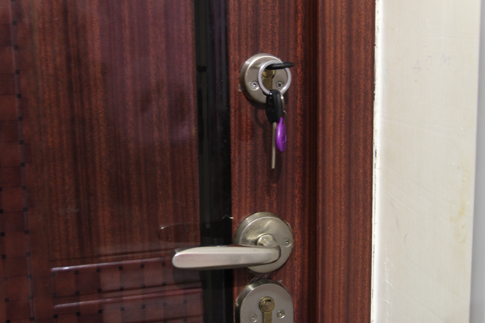 Лурье получила ключи от московской квартиры Долиной ИА EAOMedia, Письменова Ксения