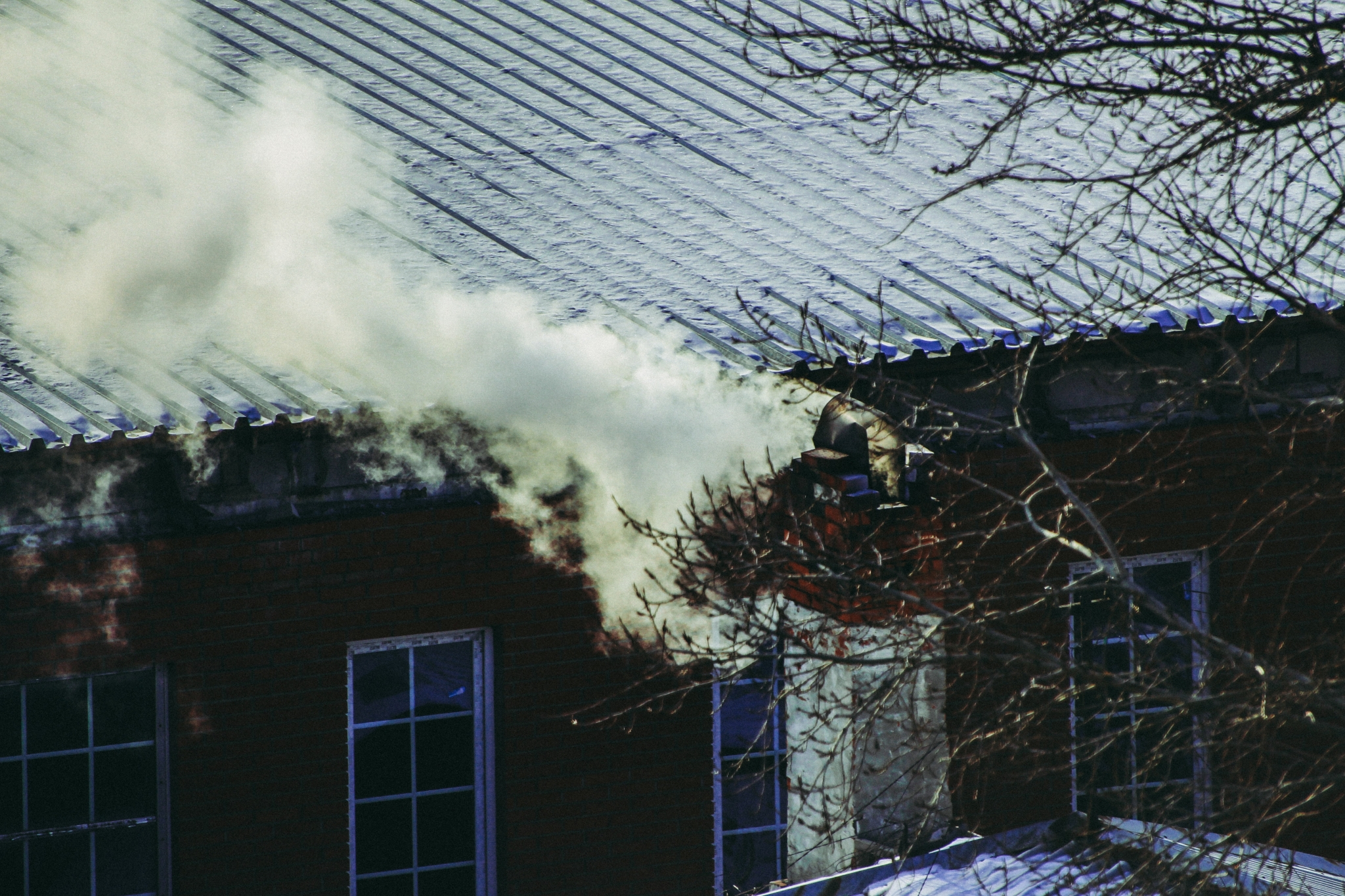Садоводам напомнили о важных февральских работах для защиты сада Юлия Ушакова, ИА IrkutskMedia