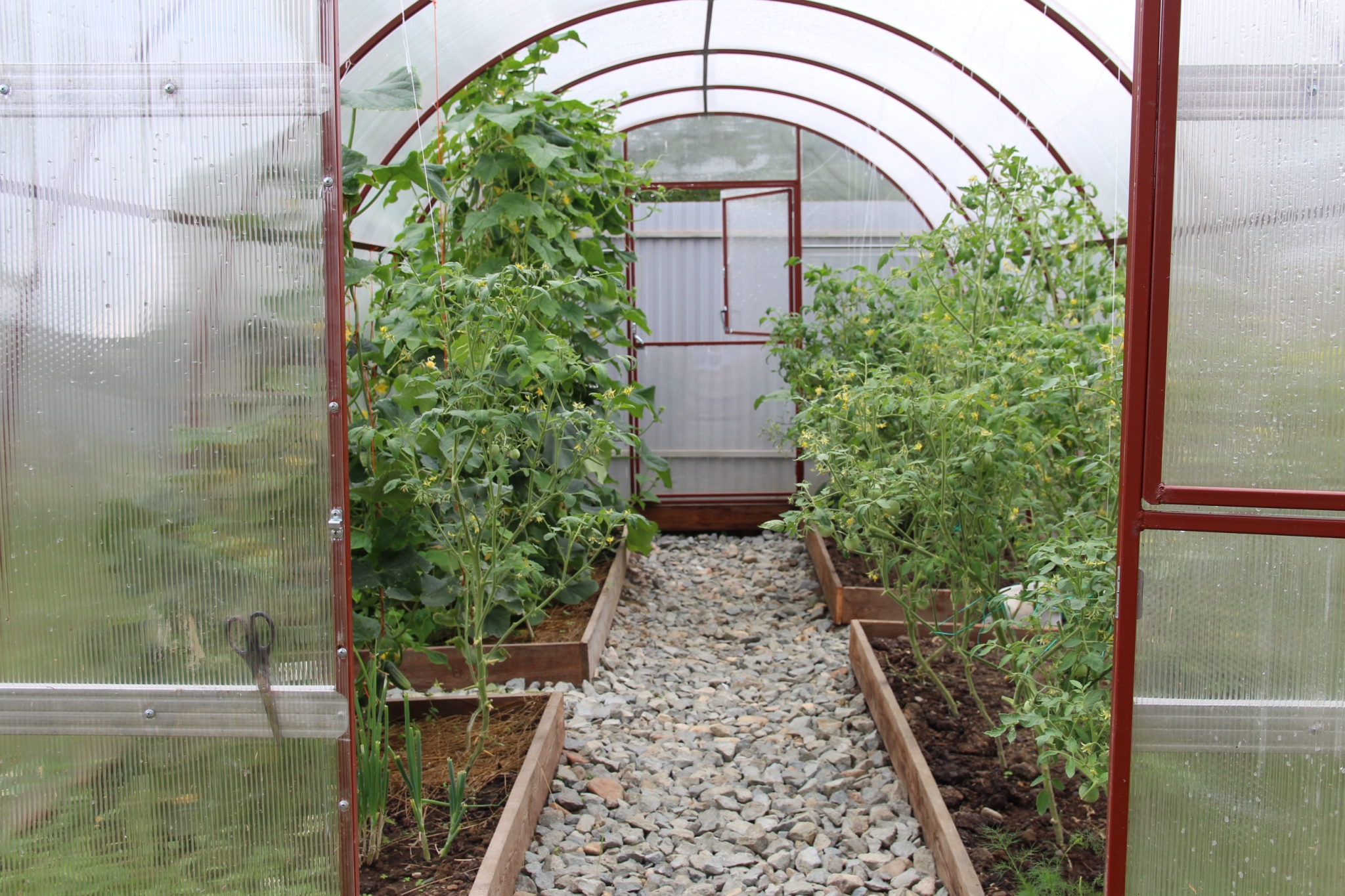 Теплица ИА EAOMedia, Письменова Ксения