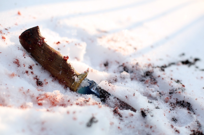 Психолог назвала основные причины волны насилия в учебных заведениях Анна Бессонова, ИА PrimaMedia