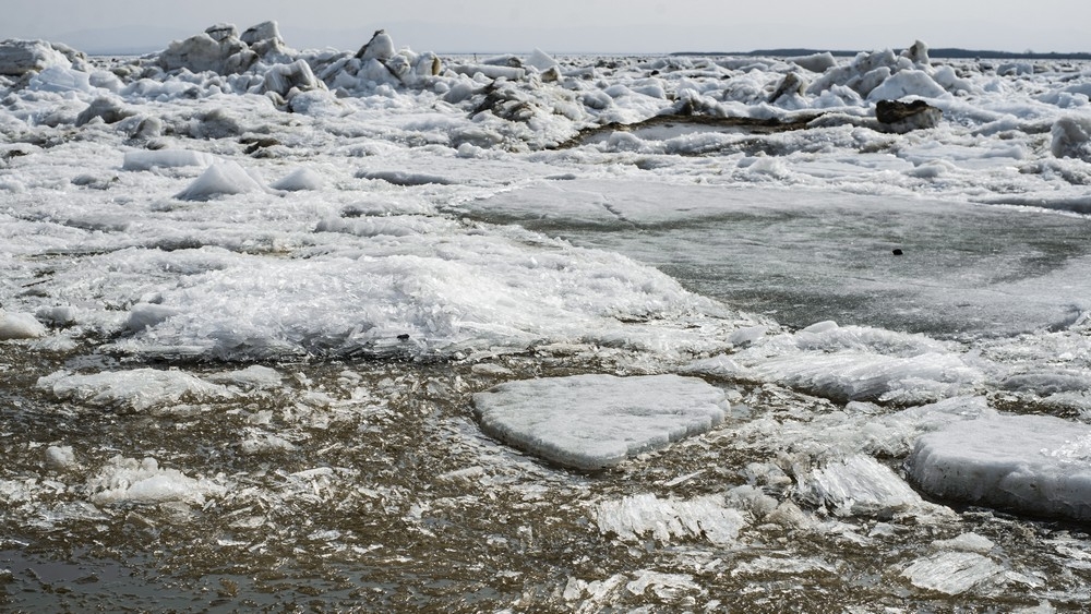Подростки ушли к реке Ольга Цыкарева, ИА AmurMedia