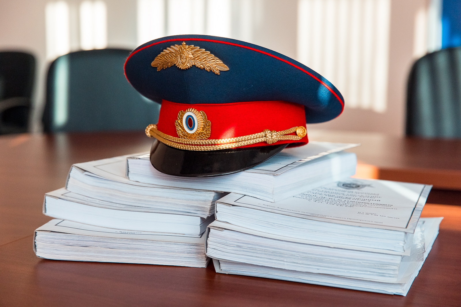 Следственный комитет возбудил дело из-за нападения собак на ребенка Илья Аверьянов, ИА PrimaMedia