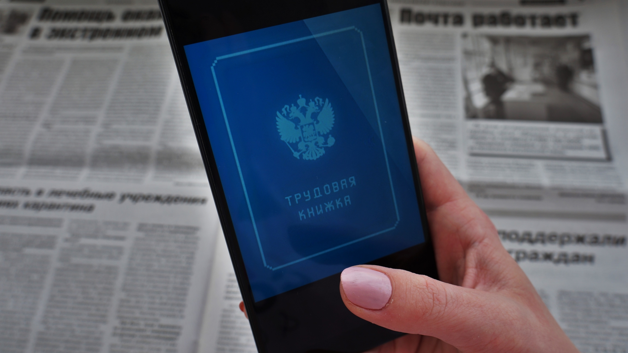 Минтруд напомнил о правилах испытательного срока Ольга Брютова, ИА UssurMedia