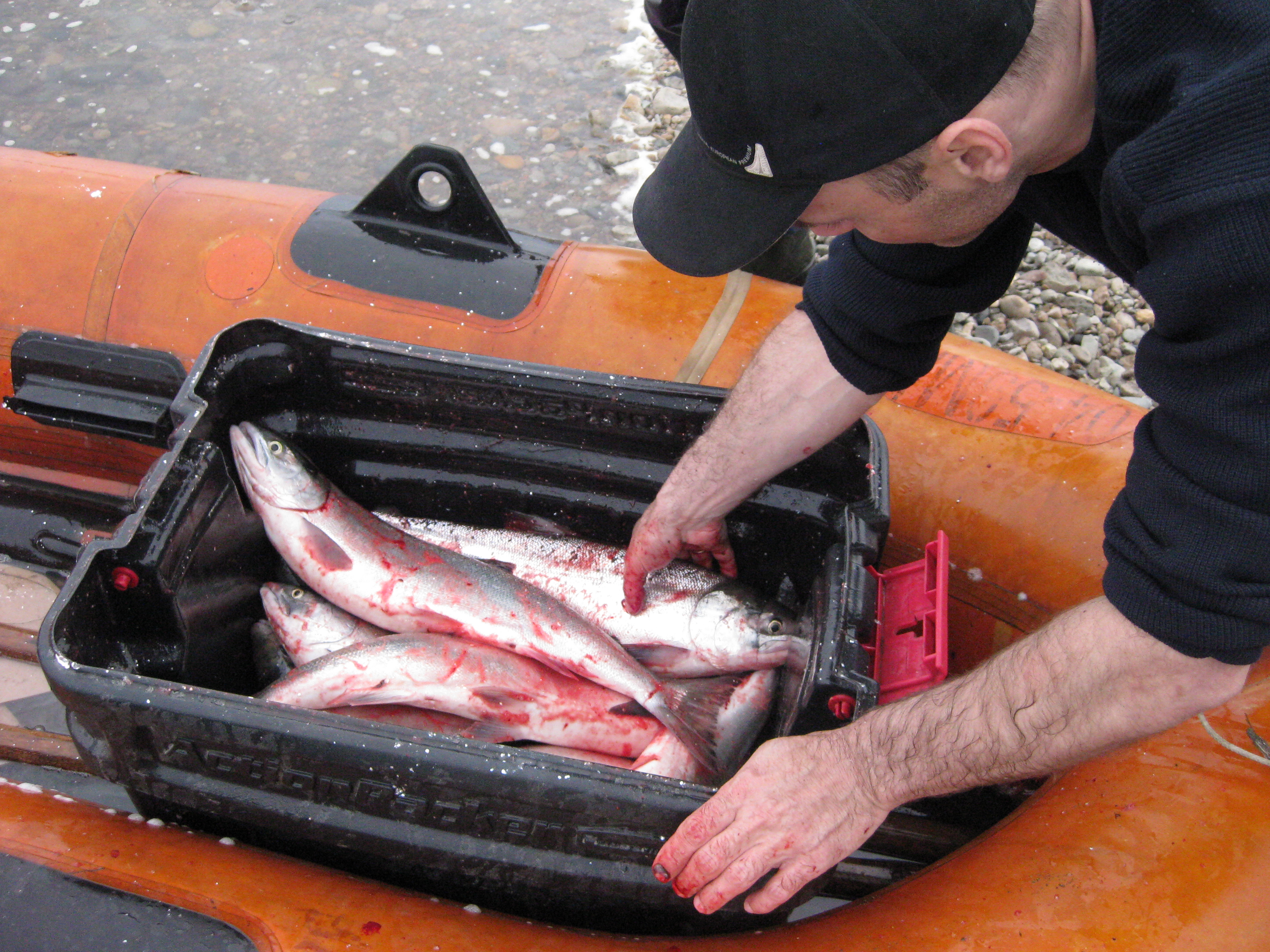 Лосось Игорь Чёрный, ИА MagadanMedia