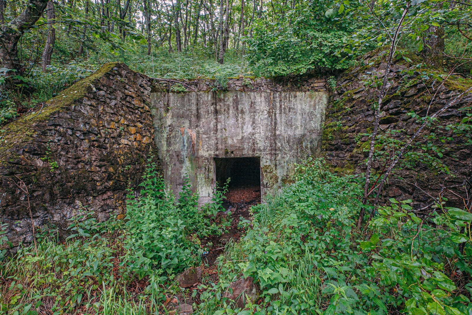 подземелье, бункер, убежище, укрытие Мария Смитюк, ИА PrimaMedia